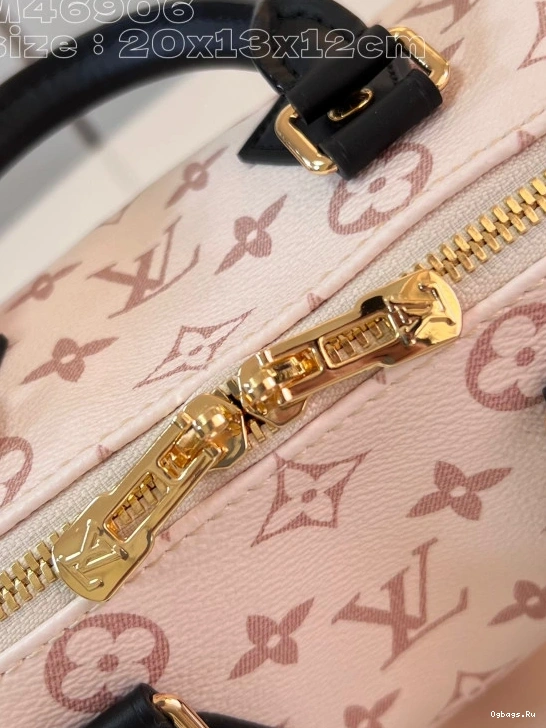 BANDOULIÈRE LOUIS VUITTON SPEEDY 20 0228